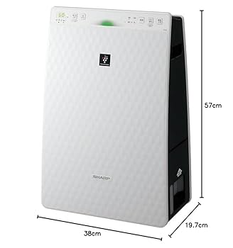 41-+CcIesSL._UF350,350_QL80_.jpg
